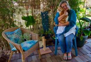 Animal Healing Clinic Pippi