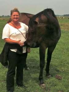 Animal Mentors Horse