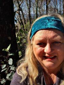 Everything Regenerates